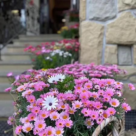 Hotel Nosal & Wine Zakopane