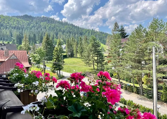 מלון Nosal & Wine זקופאנה