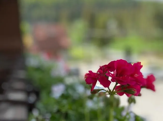 Nosal & Wine מלון 3*