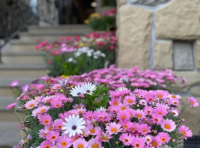 מלון Nosal & Wine זקופאנה