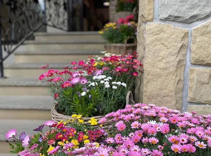 Nosal & Wine זקופאנה