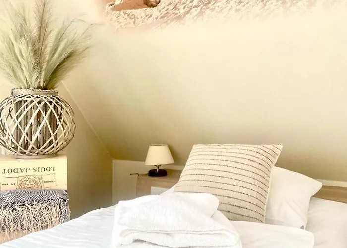 Nosal & Wine מלון זקופאנה